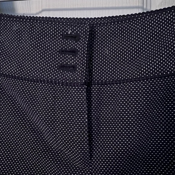 Ann Taylor Petites Capri Pants, Size 2P - Picture 11 of 14